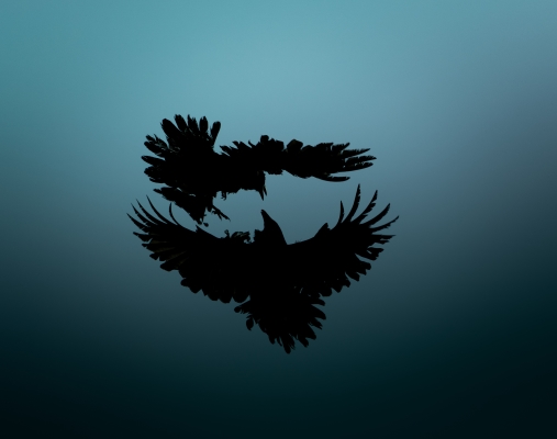 Tiled Image